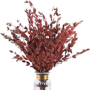 HIAGROW Real Red Eucalyptus Stems Decor 20PCS 17" Dried Willow Eucalyptus Plant Preserved Stems for Home Vase Filler Wedding Flowers Fall Arrangement Decorations