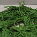 9FT Christmas Garlands Norfolk Pine Garland Real Touch Artificial Faux Greenery Garland for Holiday Indoor Outdoor Decor