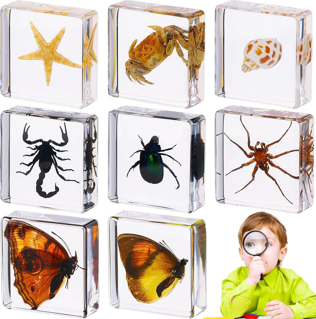 Macarrie 8 Pcs Insects in Resin Specimen Bug Collection Paperweights Bug Toys Preserved in Resin Specimen Bug Kit Specimen Sea Life Insect Toys Real Bug Specimen Bug Educational Toy, 8 Styles