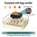 CoInceptus 35 Egg Incubator with Automatic Egg Turning and Humidity Control, Incubator for Chicken Eggs, Quail, Duck Eggs, with Egg Candler