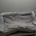 BFPETHOME Dog Beds for Large Dogs, Orthopedic Dog Bed for Medium Large Dogs,Big Waterproof Couch Pet Bed with Removable Washable Cover (42"L x 30"W x 7"Th, Grey)