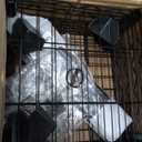 HOMEFORT Storage Shelves, 5-Wire Shelving, Metal Shelving Unit Adjustable Storage Shelves Rack for Kitchen, Pantry, Bathroom, Black, 11.4" W x 11.4" D x 46" H