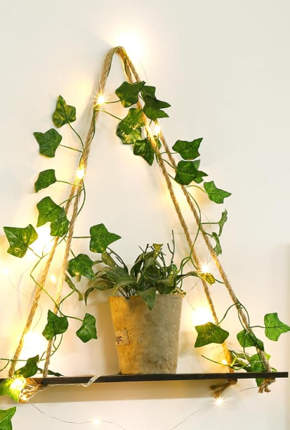 Hanging Shelf Wall With Plants Decor Lights 16,5x6