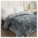 LGYKUMEG Queen Size Korean Mink Blanket Winter Fleece Plush Blanket 79"X 91",2 Ply Reversible Silky Soft and Warm Raschel Bed Blankets (200x230cm4kg, B)