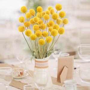 Natural Dried Flower - Craspedia/Billy Balls Yellow Flowers Arrangements Bouquet for Farmhouse Wedding Home Vase Party DIY Decor