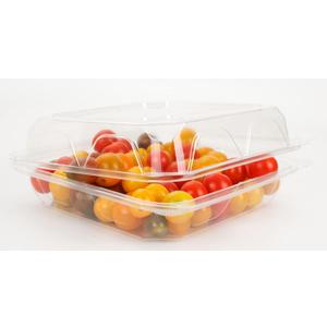 Golden Apple, Clear Plastic Square Hinged Food Container, 8" Length x 8" Width x 3" Depth, 20pieces
