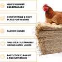 Eaton Pet and Pasture, Premium Laying Hen Nesting Pads, USA Grown & Sustainably Harvested, 13 x 13 (10 Pack)