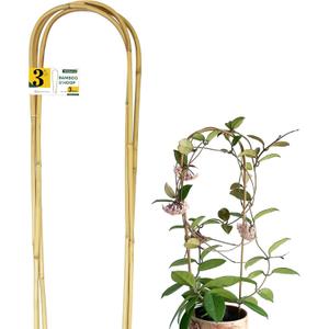 Jollybower Natural U-Hoops Bamboo Plants Trellis 3Ft, Garden Trellis U-Shape for Climbing Plants, Garden Arch Trelli Support for Potted Plants, Vines, Ivy Climbing Plants, Flowers-3 Pack, U-Shaped 3Ft