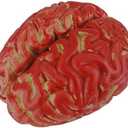 NOVELTY GIANT WWW.NOVELTYGIANT.COM Bloody Brain Plastic Halloween Horror Haunted House Prop