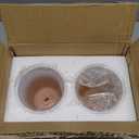 vensovo 4 Inch White Terracotta Plant Pots with Saucer - 6 Pack Clay Flower Pots with Drainage, Great for Plants, Crafts, Wedding Favor