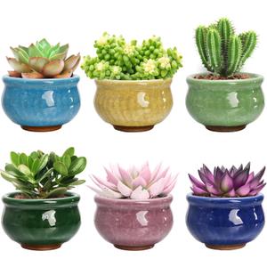 Okllen Set of 6 Small Succulent Pots, Ceramic Succulent Planters Stylish Crackle Glaze Design with Drainage Holes for Indoor/Outdoor Small Plants, Plants Not Included