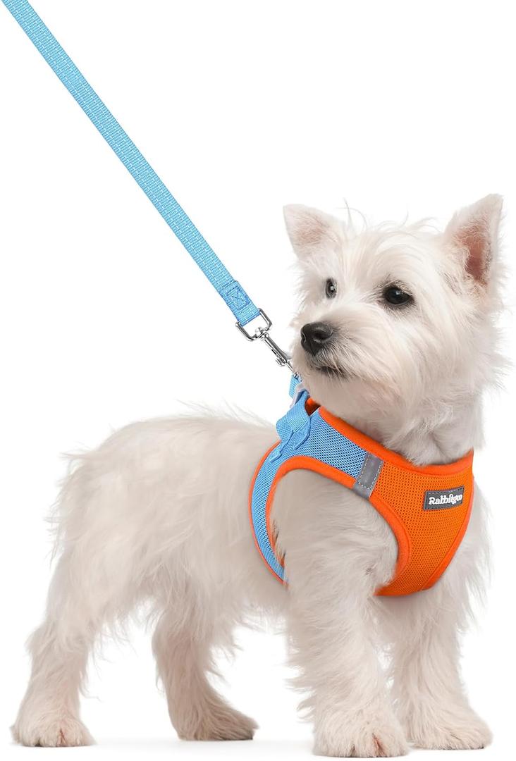 rabbitgoo Dog Harness Small Sized and Leash Set, Step in Soft Light Puppy Vest, Breathable Mesh Pet Harness, Reflective for Safe Easy Walking, Blue & Orange S (S (Chest: 15.1 - 16.5"))