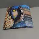 10 x Angelfish Calendar 2026 Angel Fish Monthly Wall Calender 12 Month Tropical Fish Gifts | American Made In The USA