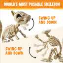 JOYIN Squirrel Skeleton Halloween Decoration 9.1 Inch Animal Posable Skeletons Movable Joints Plastic Bones with Pine Cones for Halloween Haunted House Decor Spooky Scene Garden Patio Party Prop