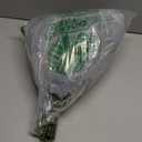 120 Pcs Artificial Eucalyptus Stems, 4 Kinds Mixed Faux Greenery Stems Fake Silver Dollar Eucalyptus Leaves Bundle for DIY Bouquets Centerpiece Spring Floral Arrangement Wreath Home Wedding Decor