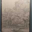 Large Vintage Framed Neutral Landscape Wall Art for Living Rooms, 3 Piece Retro Big Tree Sketch Botanical Forest Antique Canvas Artwork Set, Rustic Nature Wabi Sabi Art Prints for Hallway Home Office 24x36 Inch, 24" W x 36" H x 3Pcs
