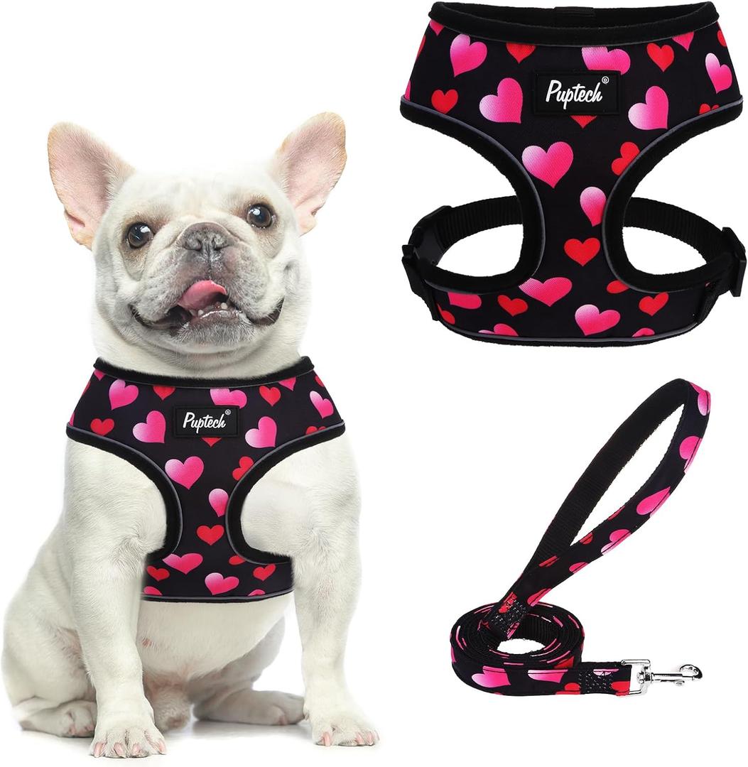 PUPTECK Soft Mesh Dog Harness and Leash Set Pet Puppy Cat Comfort Padded Vest No Pull Harnesses Valentine, Black & Pink, M (M (NECK: 14", CHEST: 17"-21")) PUPTECK Soft Mesh Dog Harness and Leash Set Pet Puppy Cat Comfort Padded Vest No Pull Harnesses Valentine, Black & Pink, M (M (NECK: 14", CHEST: 17"-21"))