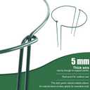 FEED GARDEN 8 Pack Plant Support Stakes, Peony Cages and Supports, Metal Garden Plant Stake(10" Wide x 24" High) Green Half Round Plant Support Rings for Outdoor Indoor Plants, Tomato, Hydrangea