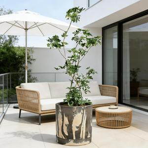 GreenShip 11.7" Cylinder Planter with Drainage Hole and Saucer - Jun Porcelain Clay & Recycled Resin, Decorate Home, Office & Outdoor - Chocolate