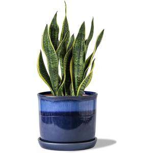 8 Inch Plant Pot: Ceramic Planter with Drainage Hole & Saucer - Gradient Blue Flowerpot for Indoor & Outdoor Plants with Separate Tray