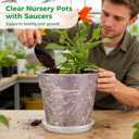 3 Pcs Clear Nursery Pots Set with Saucers, 11.8 in Plastic Orchid Pots, Large Plant Pot with Drainage Holes, 3.7 Gallon Capacity for Orchids and House Plants