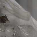 ICE Armor Detailed Craftmanship Snowy Owl Statue Figurine, Owl Perching on Branch Figurine for Shelf Table Counters, Fall Decor for Home, Animal Decorations Christmas Ornaments for Living Room (Medium to Large, 54556-white)