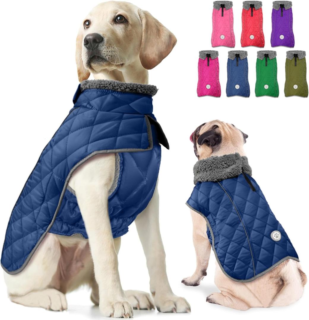 Fragralley Dog Winter Coat, Waterproof Windproof Reflective Fleece Jacket with Harness Hole, Warm Snow Vest for Large Dogs, Ideal Gifts (Blue)