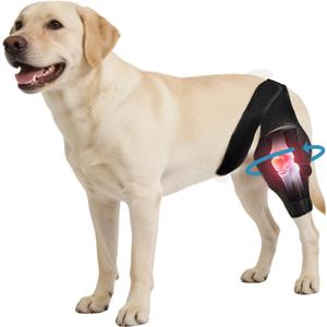 Dog Knee Brace for Torn ACL/CCL & Hind Leg Support - Adjustable Brace for Arthritis Relief, Joint Stability & Injury Recovery - Fits Small & Medium Dogs (XXL)