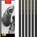 Professional Charcoal Pencils Drawing Set - 6 Pieces Soft Medium and Hard Charcoal Pencils for Drawing, Sketching, Shading (Black)