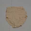 FINETOO Women's High Waisted Seamless Underwear Full Coverage Brief Ladies No Show Panties Sexy Lingerie Regular&Plus, Size(XL) Beige