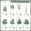 Serwalin 130 Pcs 8 Kinds Mixed Eucalyptus Stems Bulk,Artificial Greenery Silver Dollar Eucalyptus Leaves Picks for Centerpieces Vase DIY Bouquet Arrangement Home Decor