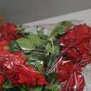 BLEUM CADE 50 Pcs Red Roses Artificial Flowers, Real Touch Velvet Roses Fake Flowers Bulk, Artificial Roses Bouquet with Long Stems Bridal DIY Wedding Party Centerpiece Decorations