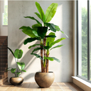Erimda 8.2FT Artificial Banana Tree, Lifelike Fake Banana Leaf Tropical Silk Tree, Easy Assembly Faux Floor Plant with Sturdy Trunk, Maintenance Free for Indoor Home Patio Pool Outdoor Tropical Decor