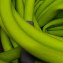 Flexzilla Garden Hose 3/4 in. x 100 ft., Heavy Duty, Lightweight, Drinking Water Safe, ZillaGreen - HFZG6100YW-E