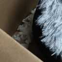 BFPETHOME Dog Beds for Large Dogs, Plush Dog Crate Bed Fluffy Cozy Kennel Pad for Sleeping &Ease Anxiety, Washable Pet Mats with Anti-Slip Bottom for Large Dogs, Grey (L(35x23 inch))