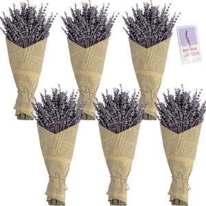 6 Packs Natural Dried Lavender Flowers Bouquet with Stems (14-17 Inches, 540-600 Stems Total), Home Fragrance for Drawers, Wedding Decor & Photography Props, DIY Crafts Supplies
