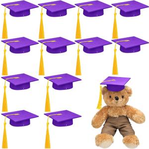 Foilswirl 12 Pcs Mini Graduation Cap with Tassel Mini Plush Mason Jar Small Animal Bachelor Hat Photo Prop Party Supply