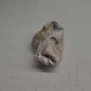 RRANYF Creepy Halloween Full Head Skull Mask with Movable Jaw, Adult Entire Head Realistic Latex Helmet, Scary Skeleton