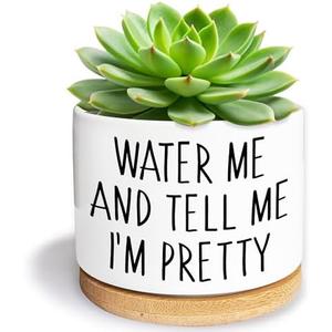 Kwtzkuo Water Me and Tell Me I'm Pretty - Cute Ceramic Planter Pot with Drainage Hole, Home Office Funny Small Succulent Cactus Pot for Women, Friends, Coworker, Plant Lovers