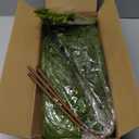 Norfolk Pine Stems 35.8" / 91cm, 6 Pcs Christmas Pine Branches, Real Touch Greenery for DIY Flower Arrangement, Home Indoor Christmas Decor