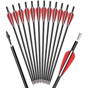 Crossbow Bolts Arrows Fiberglass 12 14 16 Inch Hunting Archery Target Arrow with Replaced 100 Grain Arrowheads Flat Nocks (Pack of 12)