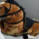 Spring Rocking Horse - Plush Bouncy Ride-On Toy with Fun Sounds, Wood Handles, and Adjustable Stirrups for Kids Ages 3 to 6 by Happy Trails (Brown), 29 inches x 11 inches x 25 inches