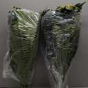 49" Artificial Ferns for Outdoors Planter, 128 Leaves per Fern, Set of 2, Large Lush Fake Boston Ferns Hanging Plants, UV Resistant Faux Greenery for Porch Patio Garden Home Decor Indoor Outdoor