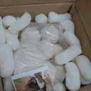Biodegradable Packing Peanuts - White, Starch, Set of 1, Great for Cushioning Fragile Items - Approximately 0.20 Cubic Foot