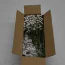 Dolicer 30 Pcs Babys Breath Artificial Flowers, White Long Stem Baby Breath Flowers Artificial Bulk, Real Touch Fake Babys Breath Gypsophila for Wedding Bridal Bouquet Party Arrangements Home Decor
