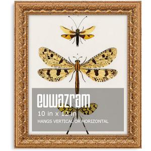 Ornate Classic Gold 10x12 Picture Frame with Raised Leaf Border, 10 x 12 in