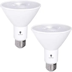 2 Pack PAR30 Outdoor LED Flood Light Bulb 12W 100 Watt Equivalent 900 Lumens Dimmable Waterproof E26 6000K Daylight LED Flood Light Bulbs for Security Spotlight Bulb Led Recessed Light Bulbs