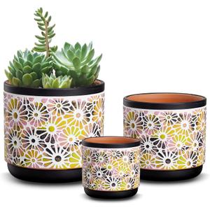 Qipecedm 3 Piece Ceramic Plant Pots, 5.7/4.7/3.5/inch Planters with Drainage Hole, Outdoor Indoor Flower Pots Set, Modern Decorative Plant Pots for Lilies, Cacti, Succulents, Snakes, Bamboo(Black)