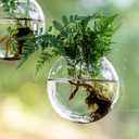 4 x Window Propagation Stations, Oblate Glass Terrariums Planter with Suction Cup Hook, Wall Hanging Planters for Hydroponics Plants, Home, Office, Bathroom, Living Room Decor, Gift for Plant Lovers (4)