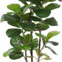 Realead 6ft Fiddle Leaf Fig Tree Artificial with Tall Exquisite Planter - Tall Faux Fiddle Leaf Fig Tree with Natural Trunk and Lifelike Leaves - Fake Fig Tree for Home Living Room Indoor Decor